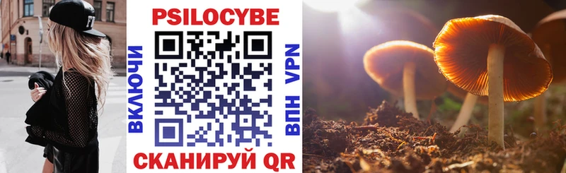 Галлюциногенные грибы Psilocybine cubensis  Купить где  Кыштым 